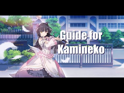 Crossing Void - Kamineko in-Depth Guide