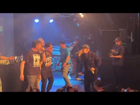 Fettes Brot & Gaze,Tobi & Bo,MK CRAM,Eißfeldt - Nordisch by Nature -Live @Markthalle,Hamburg-12/2025