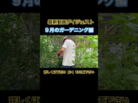 子供のためのガーデニング活動：春に子供たちに提供できる趣味は何ですか？  庭園