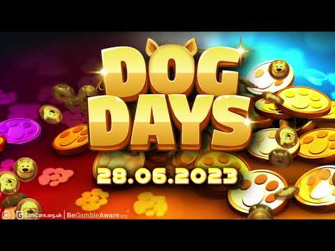 Dog Days video thumbnail