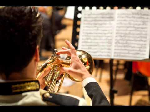 MATER CREATORIS (A. Paoletti) - Gran Concerto Bandistico "F. Fenaroli" Città di LANCIANO (Ch)