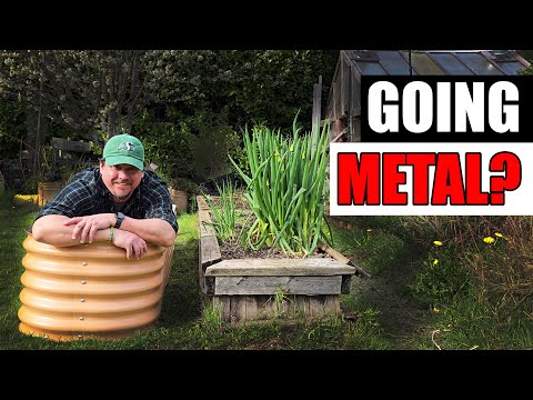 Starting Pepper Seeds Indoors How When and Why Part 1 of 3