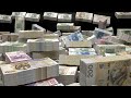 BILLIONS Of POLISH ZŁOTY Wealth Visualization Manifestation Abundance HD