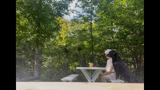 不動産、投資 老後?