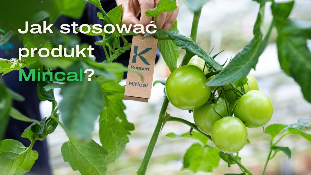 Video preview poster