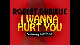 Robert Dubwise - I Wanna Hurt You Feat Shaggy