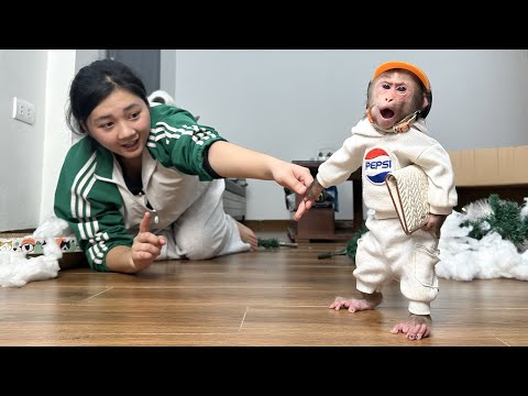 Lala is stubborn and asks Mom to buy a bonsai to replace the Christmas tree!