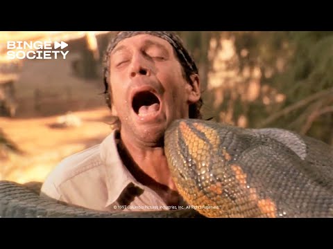 The anaconda attacks - Anaconda