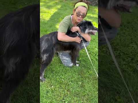 Video di ZIGGY