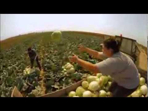 Welcome to Serbia - ComTravel.dp.ua