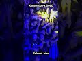 BANYAK SUDAH KISAH YANG TERTINGGAL TIPE X SELAMAT JALAN LIVE SOLO Shorts