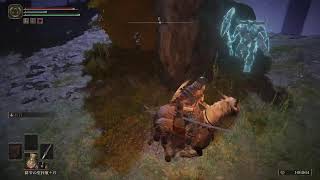 【ELDEN RING/エルデンリング】#22 侍vs降る星の獣【実況】