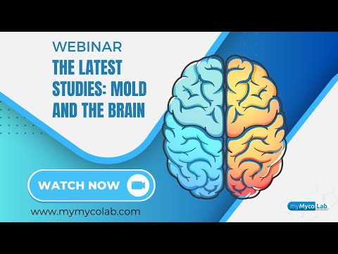 The Latest Studies: Mold and the Brain