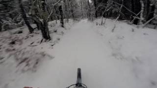 videos de risa  a través del bosque y la nieve