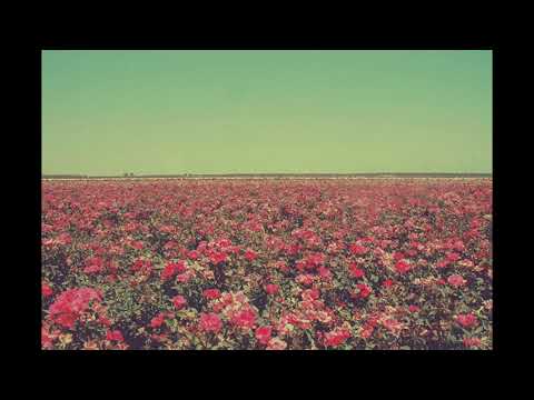 [FREE] Mac Miller x Joji x Lofi Type Beat 'Sad'