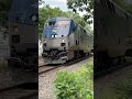 Amtrak Horn Show!