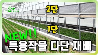 특용작물 재배를 위한 신기술!!ㅣ 양액부터 농약까지 자동공급 ㅣ 시설 다단재배로 수익성을 높인 재배 방법 ㅣ…