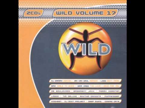 WILD FM VOLUME 17 - KCB MEGAMIX (WILD WEEKENDS)