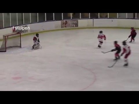 Resport Trophy 2016_ U12: Täby HC-Svedjeholmen: 2-0