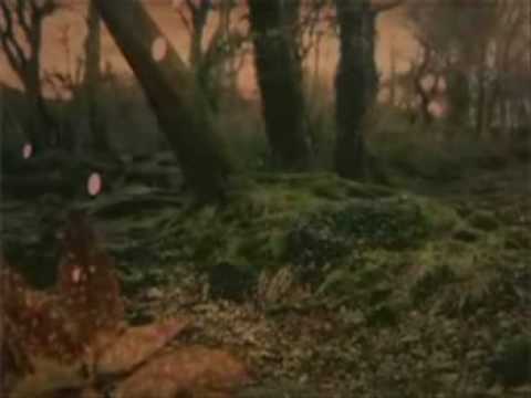 Keane - This Is the Last Time (Fierce Panda Video)