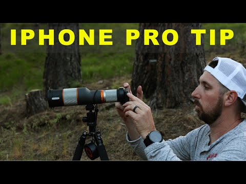 iPhone DIGISCOPING Profi-Tipp