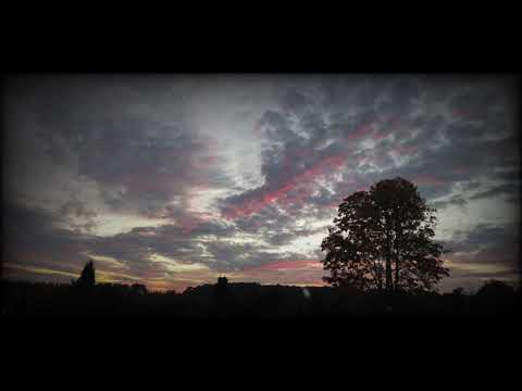 TW1GZ x Stonemist - Taiga