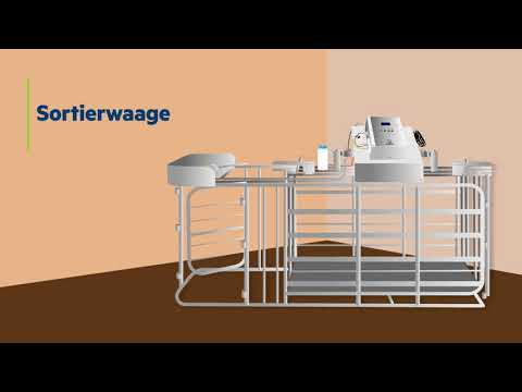 Sortierwaage