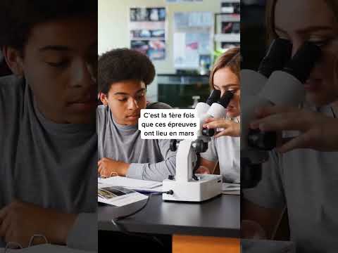 Le bac annulé à cause de la grève On fait le point 👀