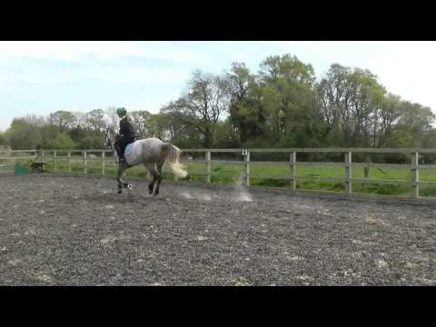 Arthur jumping 170414