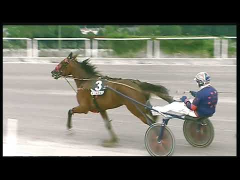 Trotto 29/05/2020 - 6ª corsa