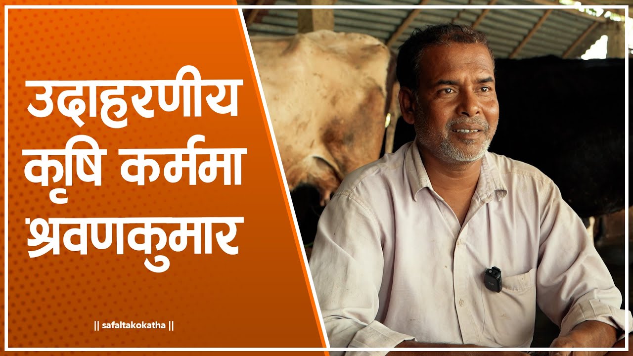 कृषि कर्ममा श्रवणकुमार  • सफलताको कथा •