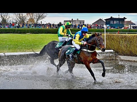 ŽIVĚ 🔴 | dostihy Kolesa – 6. 11. 2022