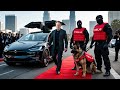 Elon Musk S New 1 Billion Personal Bodyguards SCARED Americans
