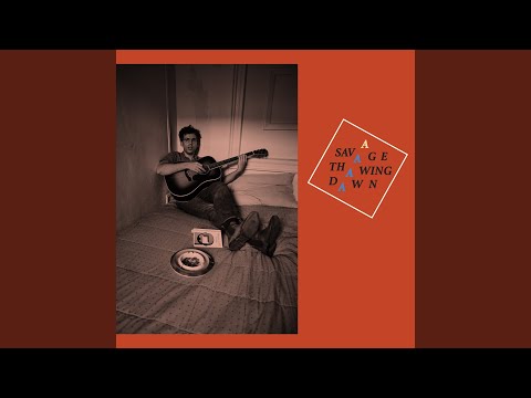 Wild, Wild, Wild Horses