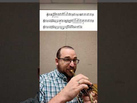 The Bride-Elect March by Sousa #trumpet #intheshed #cornet #sousa #march #byrequest #brideelectmarch