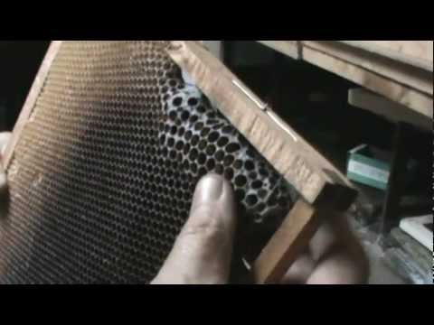 1. Discutie de la vagonul cu Bio Stup - varianta de pavilion 1/3