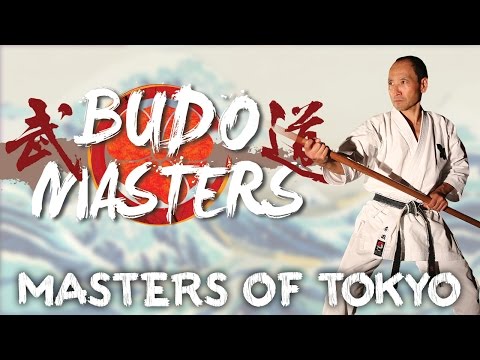 BUDO MASTERS 3 : TOKYO / Karate, Katana...