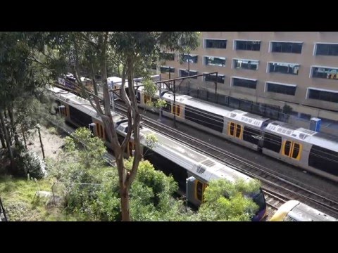 8175 / NR51 with a container only 5NY3 - 31/12/15