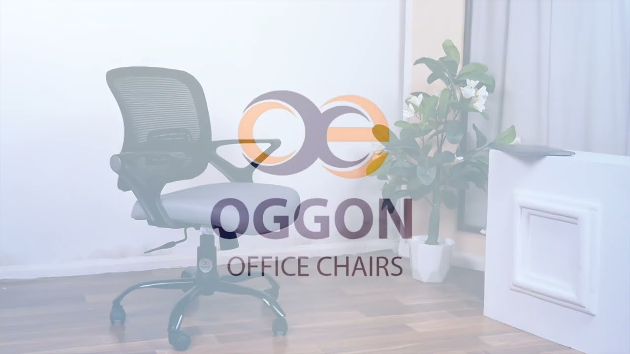 OGGON Ergolux Orthopedic Ergonomic Office Chair – Mesh Back — product tour