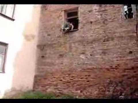 Dvinsk Clan - Le Parkour