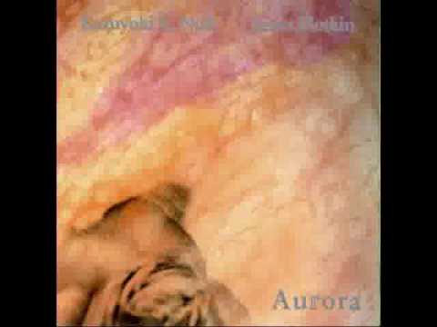 KK Null and James Plotkin - Aurora (1996) Full Album