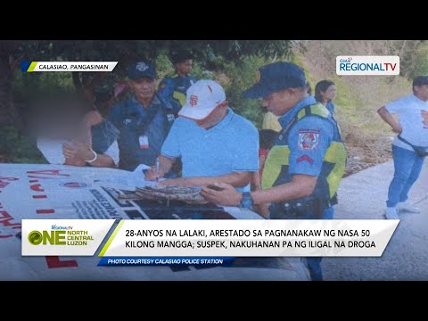 One North Central Luzon: 28-anyos na lalaki, arestado sa pagnanakaw ng nasa 50 kilong mangga