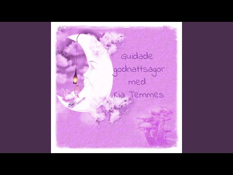 Fröken Måne får hjälp, en guidad godnattsaga