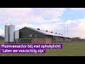 Pluimveehouder Wijnand over ophokplicht: 'Je kunt niet voorzichtig genoeg zijn'