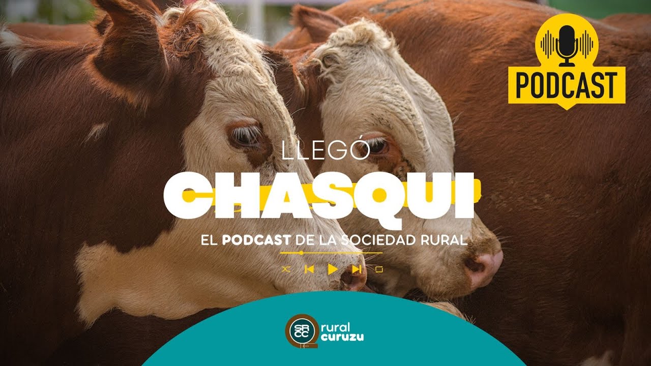 Chasqui - Cap. 3