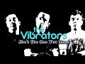 The Vibrators - She's The One You Need. Live at the Cutlers 21-4-18