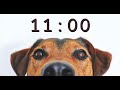 11 Minute Timer for School and Homework - Dog Bark Alarm Sound