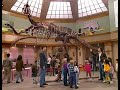 Full House Michelle Breaks The Dinosaur Reversed With Subtitles