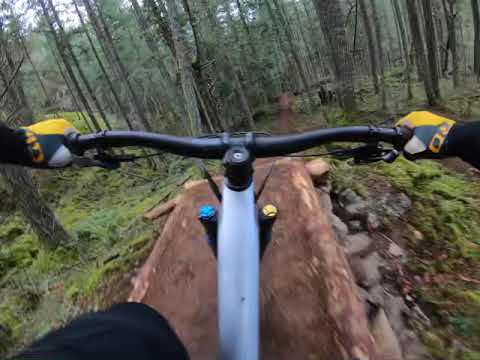 Organ Donor - Hartland bikepark