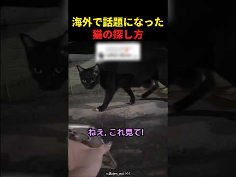 海外で話題になった猫の探し方
